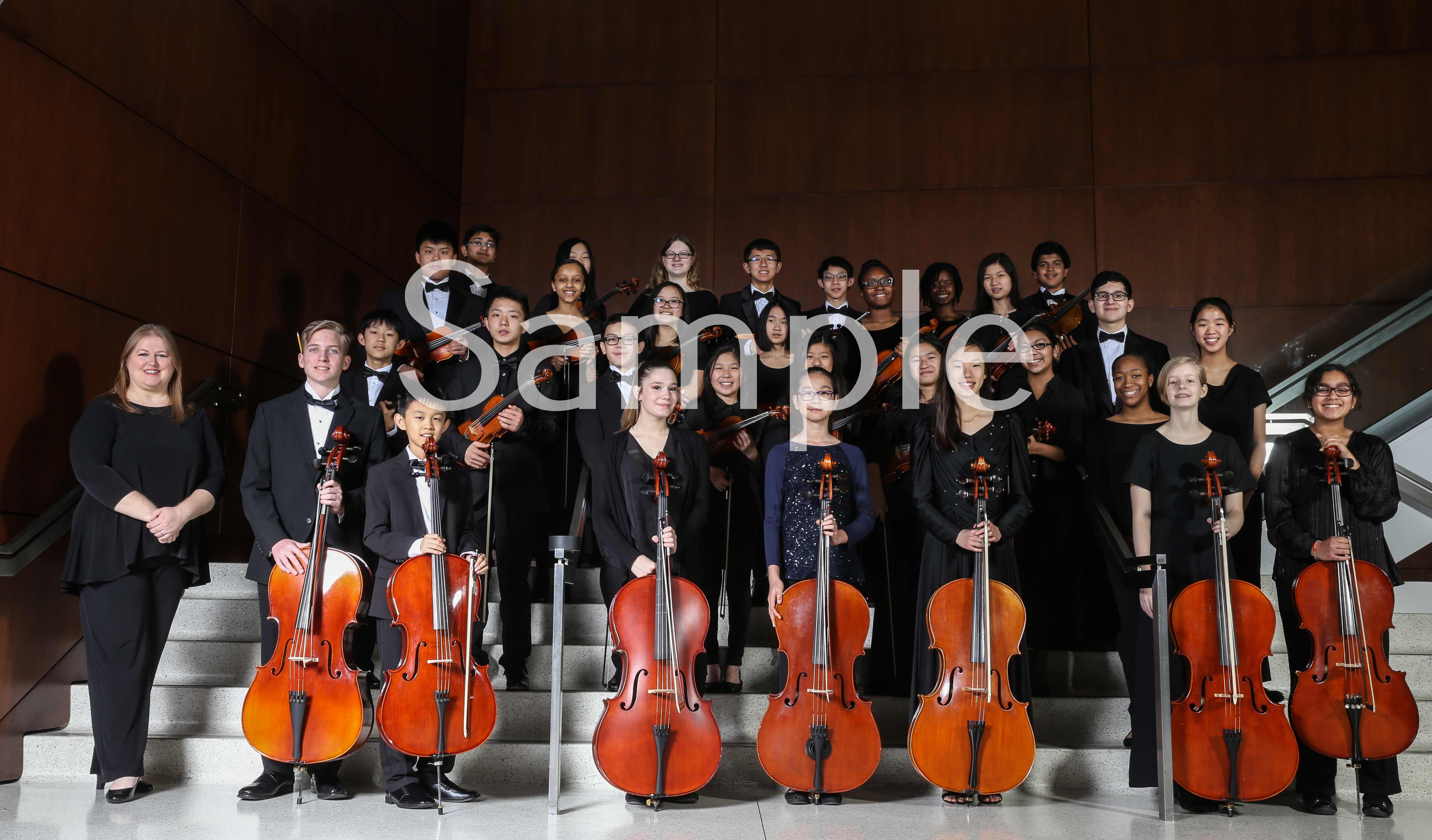 Concert Strings Group Photo (3/4/2018) Dallas Asian American Youth