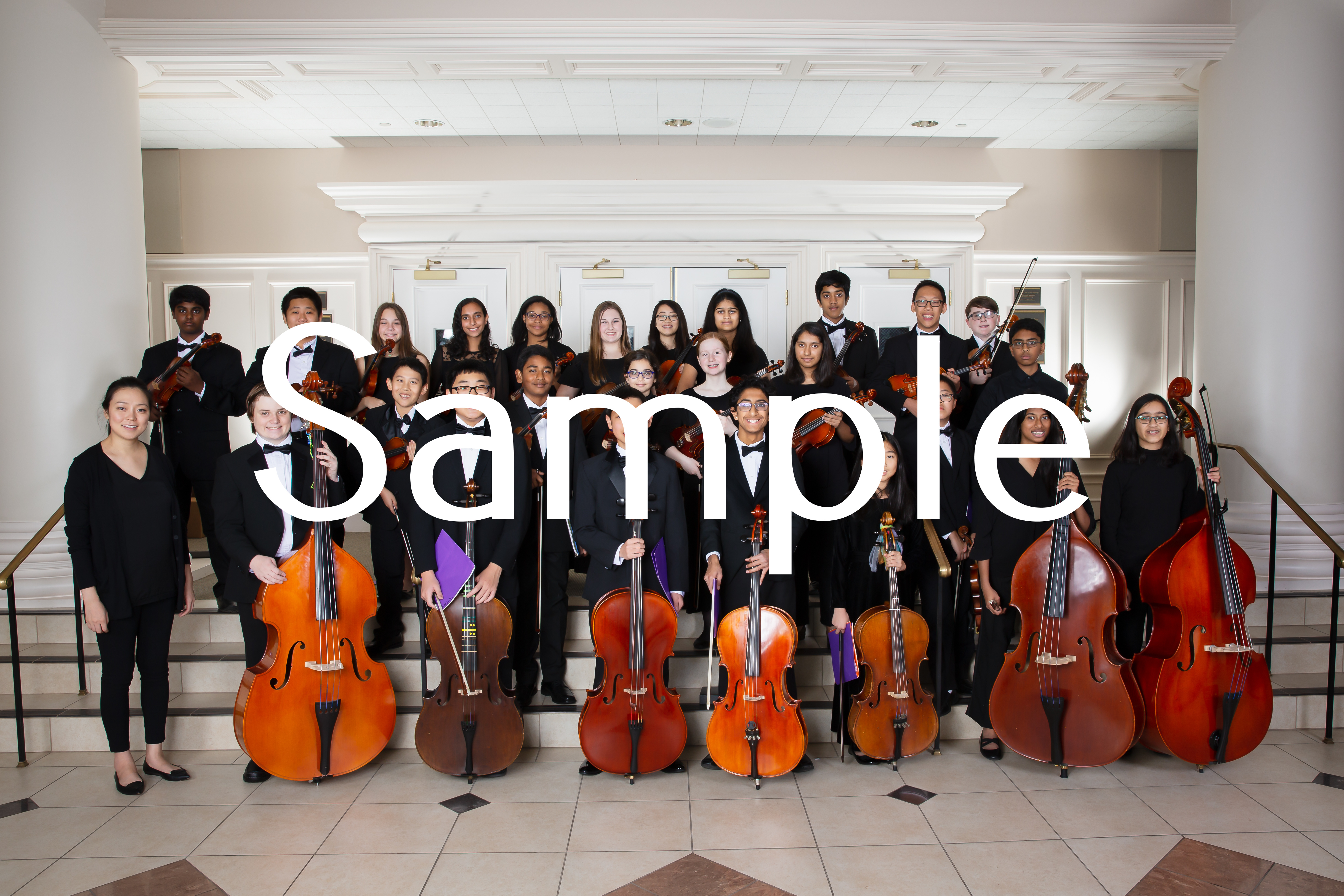 Junior Strings Group Photo 111019 Dallas Asian American Youth Orchestra